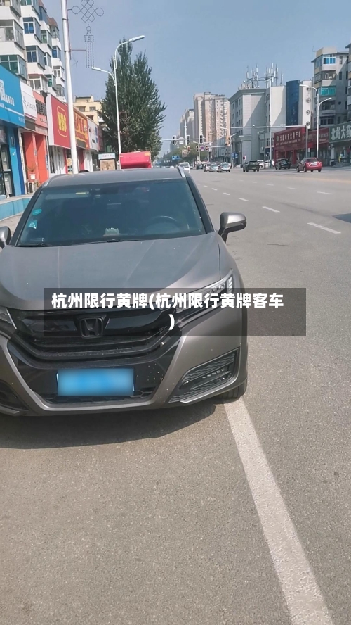 杭州限行黄牌(杭州限行黄牌客车)