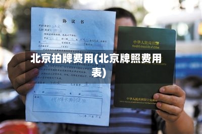 北京拍牌费用(北京牌照费用表)-第3张图片
