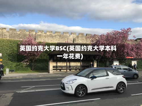 英国约克大学BSC(英国约克大学本科一年花费)-第3张图片