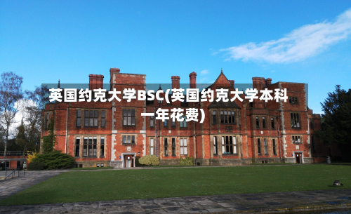 英国约克大学BSC(英国约克大学本科一年花费)