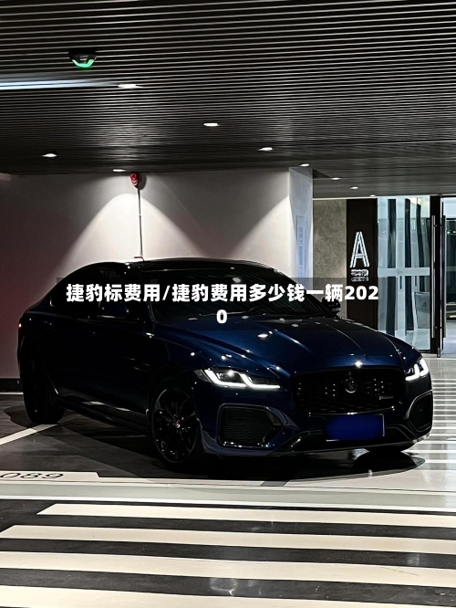 捷豹标费用/捷豹费用多少钱一辆2020-第3张图片