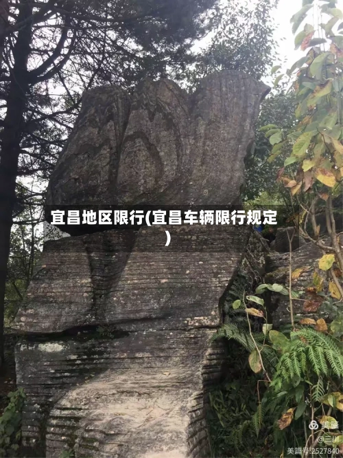 宜昌地区限行(宜昌车辆限行规定)-第3张图片