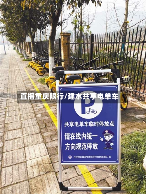 直播重庆限行/建水共享电单车-第2张图片