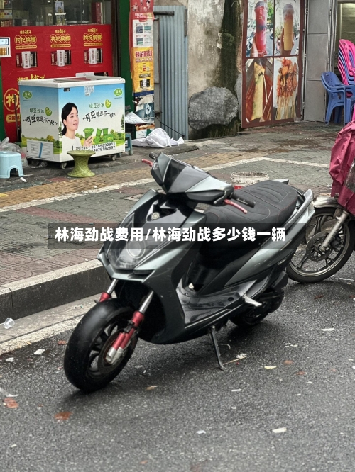 林海劲战费用/林海劲战多少钱一辆-第2张图片