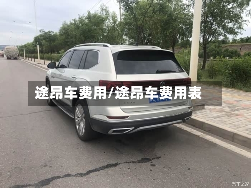 途昂车费用/途昂车费用表-第2张图片