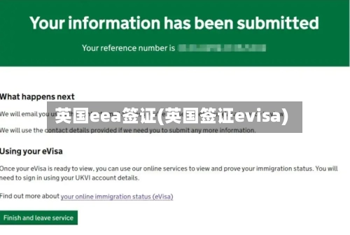英国eea签证(英国签证evisa)