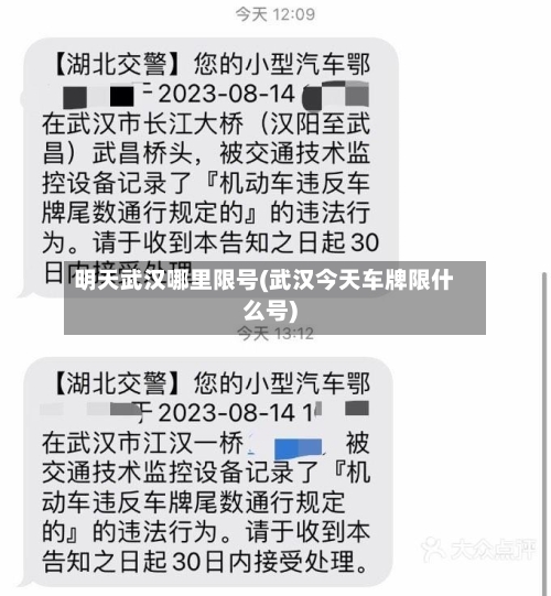 明天武汉哪里限号(武汉今天车牌限什么号)-第2张图片