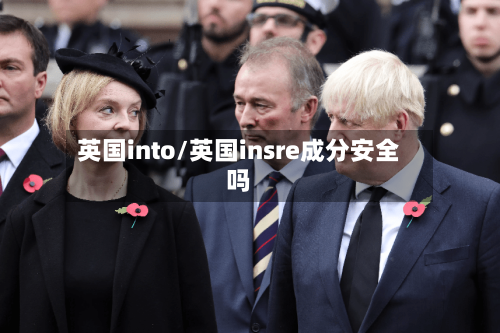 英国into/英国insre成分安全吗