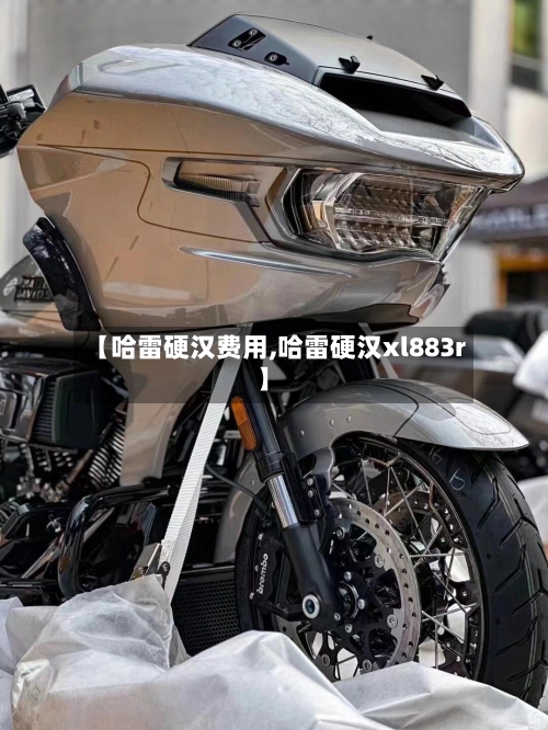 【哈雷硬汉费用,哈雷硬汉xl883r】-第3张图片