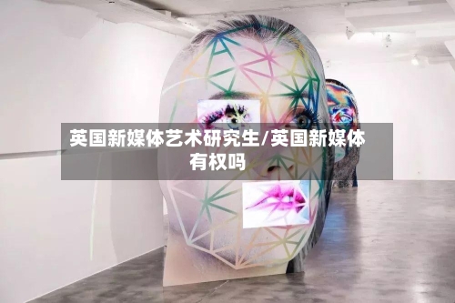 英国新媒体艺术研究生/英国新媒体有权吗