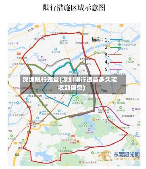 深圳限行违章(深圳限行违章多久能收到信息)-第3张图片