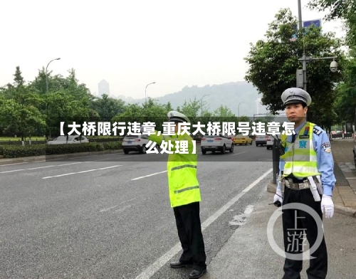 【大桥限行违章,重庆大桥限号违章怎么处理】-第2张图片
