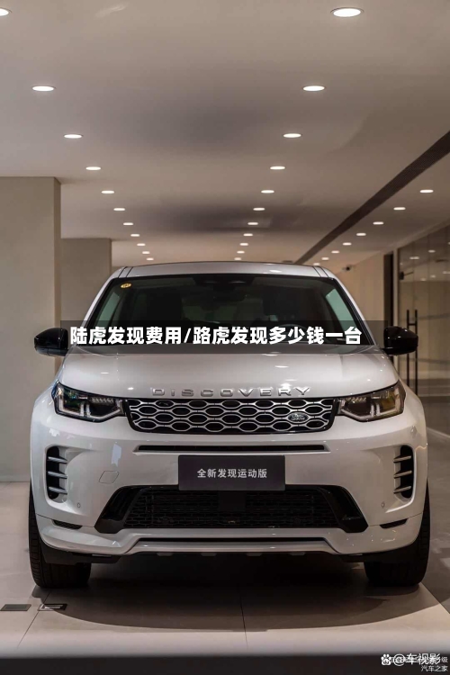 陆虎发现费用/路虎发现多少钱一台-第2张图片