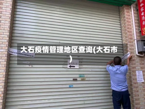 大石疫情管理地区查询(大石市)-第3张图片