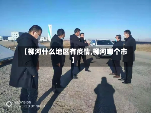 【柳河什么地区有疫情,柳河哪个市】