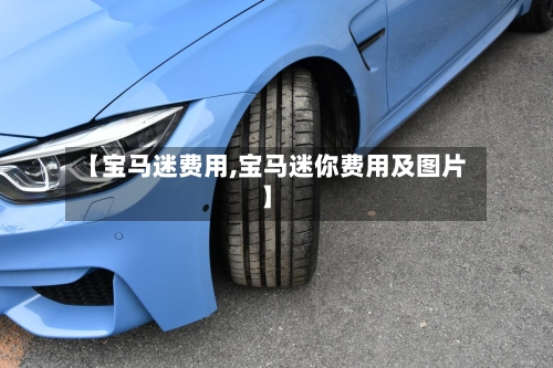 【宝马迷费用,宝马迷你费用及图片】-第2张图片