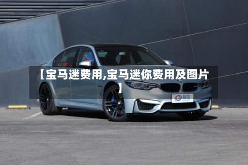【宝马迷费用,宝马迷你费用及图片】