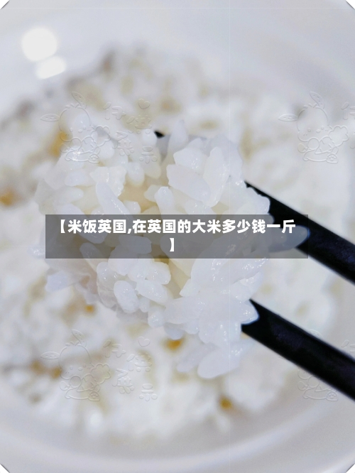 【米饭英国,在英国的大米多少钱一斤】-第2张图片