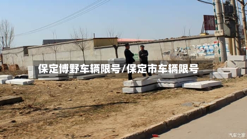 保定博野车辆限号/保定市车辆限号