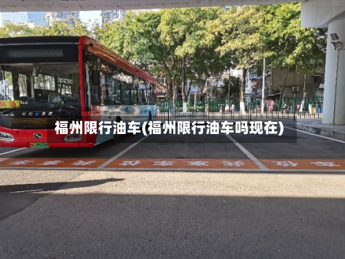 福州限行油车(福州限行油车吗现在)-第3张图片