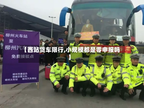 【西站货车限行,小规模都是零申报吗】