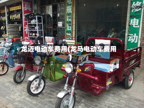 龙迈电动车费用(龙马电动车费用)-第3张图片