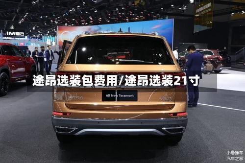 途昂选装包费用/途昂选装21寸-第3张图片