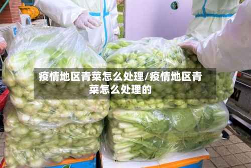 疫情地区青菜怎么处理/疫情地区青菜怎么处理的-第2张图片