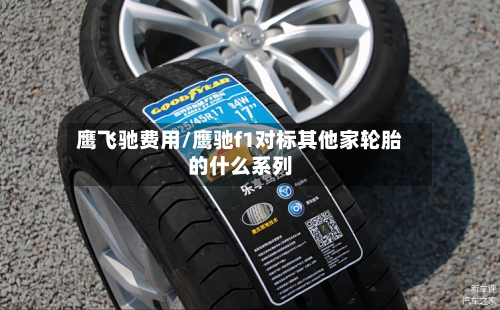 鹰飞驰费用/鹰驰f1对标其他家轮胎的什么系列-第2张图片