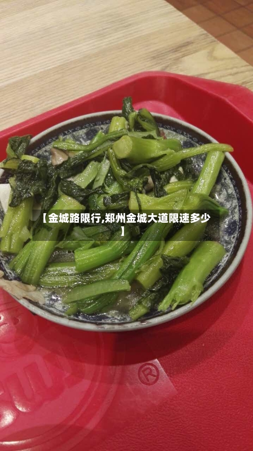 【金城路限行,郑州金城大道限速多少】-第2张图片