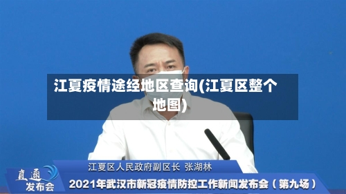 江夏疫情途经地区查询(江夏区整个地图)