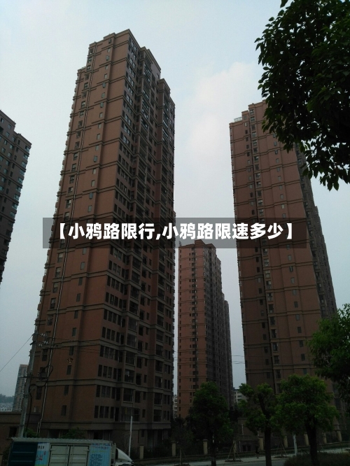【小鸦路限行,小鸦路限速多少】