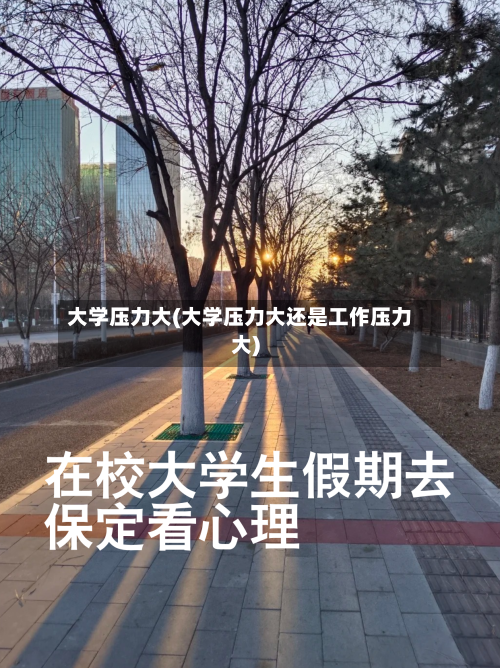 大学压力大(大学压力大还是工作压力大)-第2张图片