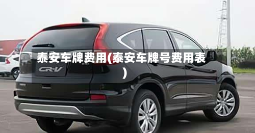 泰安车牌费用(泰安车牌号费用表)-第3张图片