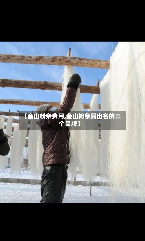 【奎山粉条费用,奎山粉条最出名的三个品牌】
