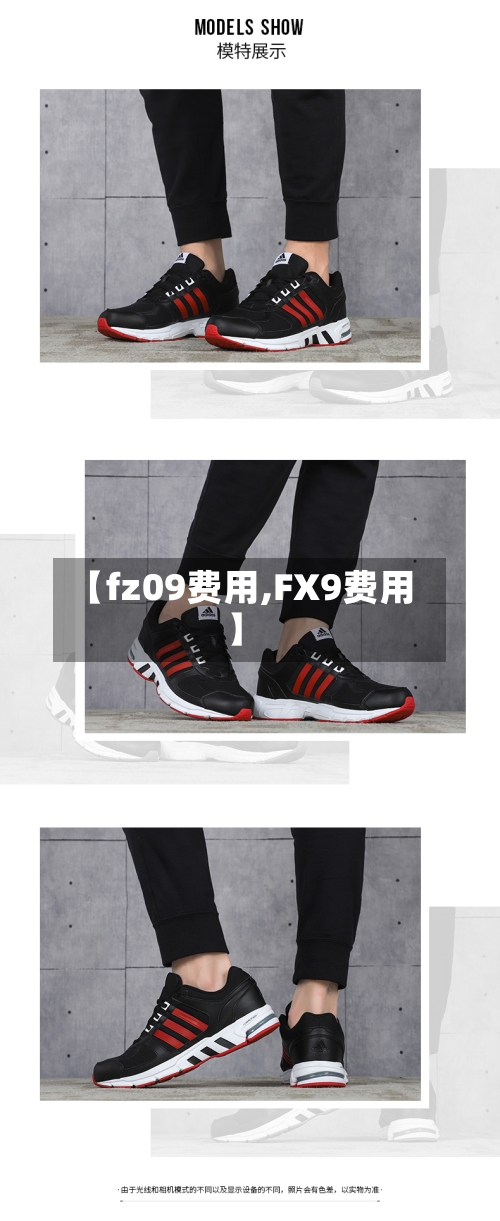 【fz09费用,FX9费用】