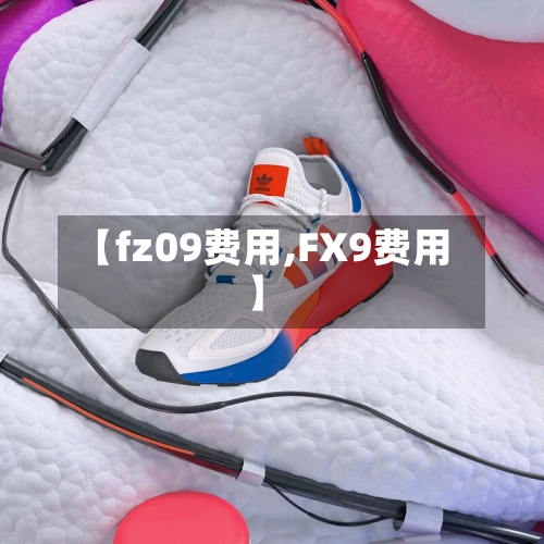 【fz09费用,FX9费用】-第2张图片