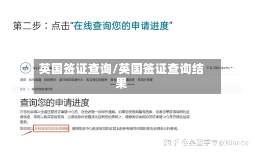 英国签证查询/英国签证查询结果