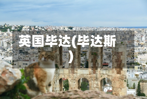 英国毕达(毕达斯)