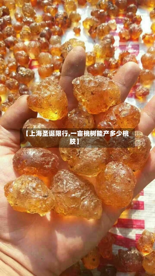 【上海圣诞限行,一亩桃树能产多少桃胶】