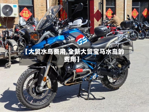 【大贸水鸟费用,全新大贸宝马水鸟的费用】