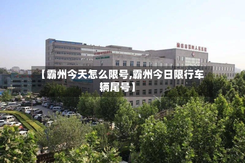 【霸州今天怎么限号,霸州今日限行车辆尾号】-第3张图片