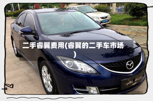 二手睿翼费用(睿翼的二手车市场)