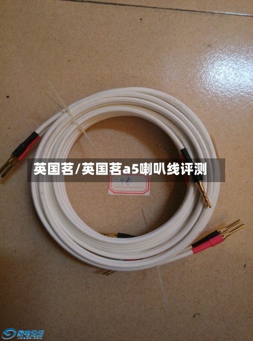 英国茗/英国茗a5喇叭线评测-第3张图片