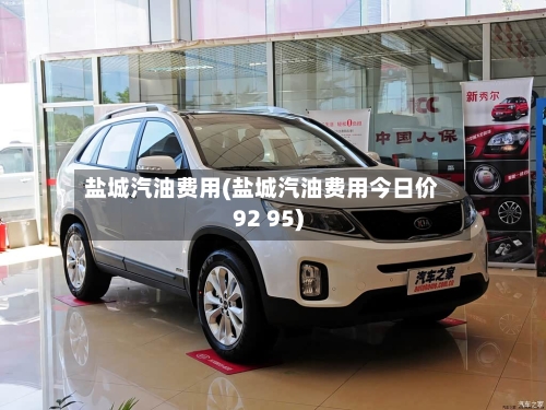 盐城汽油费用(盐城汽油费用今日价92 95)-第2张图片