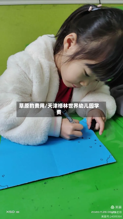 草原豹费用/天津格林世界幼儿园学费