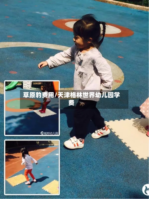 草原豹费用/天津格林世界幼儿园学费-第2张图片