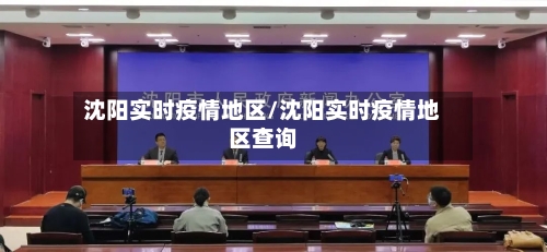 沈阳实时疫情地区/沈阳实时疫情地区查询