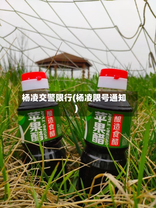杨凌交警限行(杨凌限号通知)-第2张图片