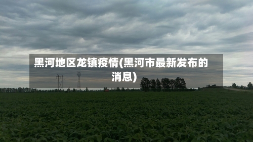 黑河地区龙镇疫情(黑河市最新发布的消息)